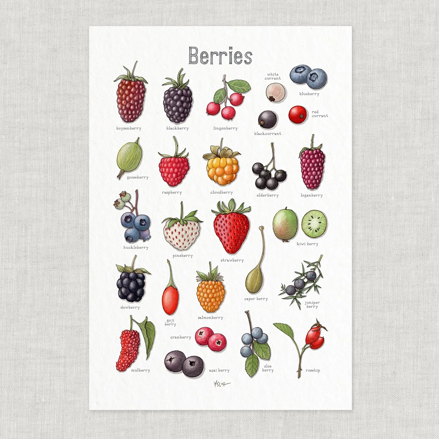 Berries | 13